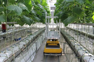 创新的基石 二十九 让植物工厂更智慧和节能
