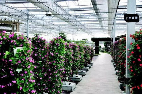 食品安全,植物工厂机械化 中药健康,农业休闲美如画 药最网