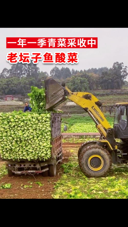 好的原料配上好的工艺才会有好产品 好味道