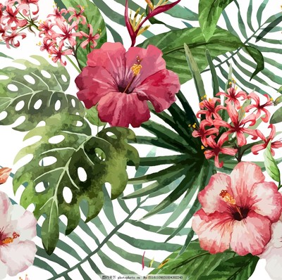 手绘热带花卉 色彩与生命的艺术交汇